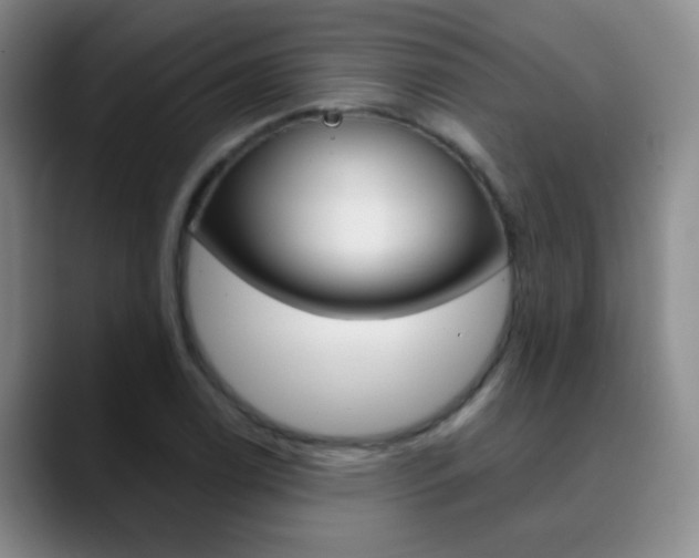 X0000090751122200707201026