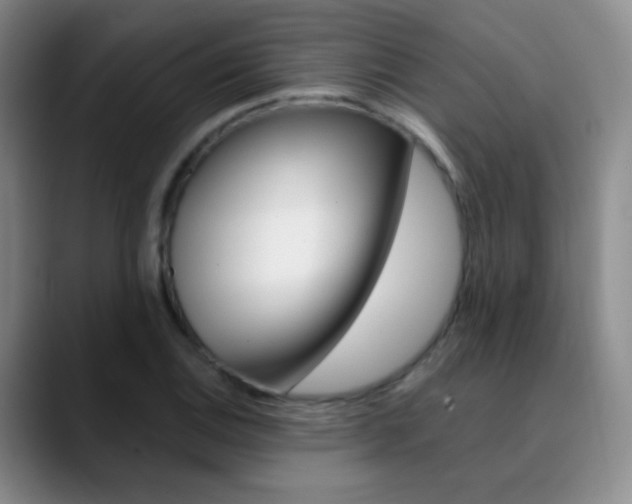 X0000090751124200707201026