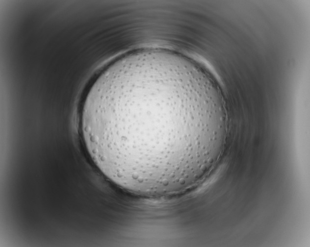 X0000090751125200707201026