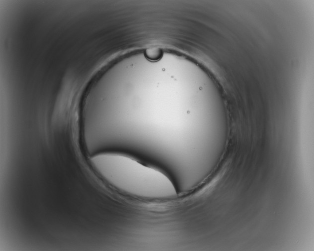 X0000090751126200707201026