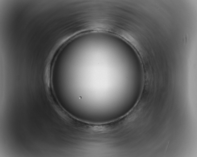 X0000090751128200707201026