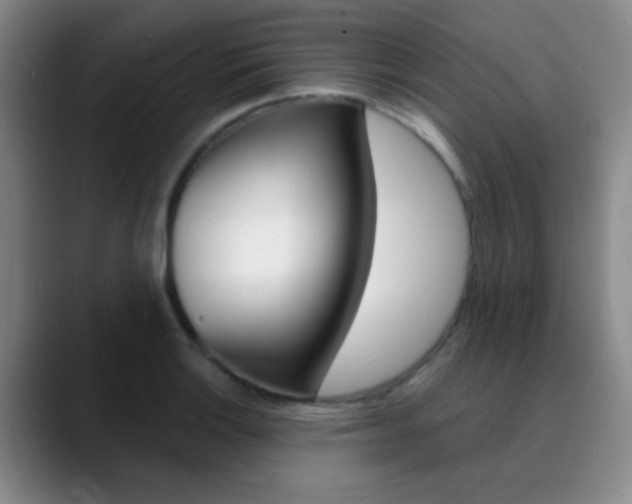 X0000090751132200707201026