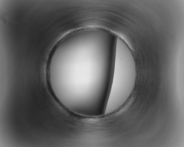 X0000090751134200707201026