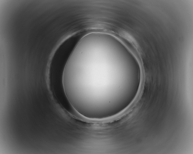 X0000090751138200707201026