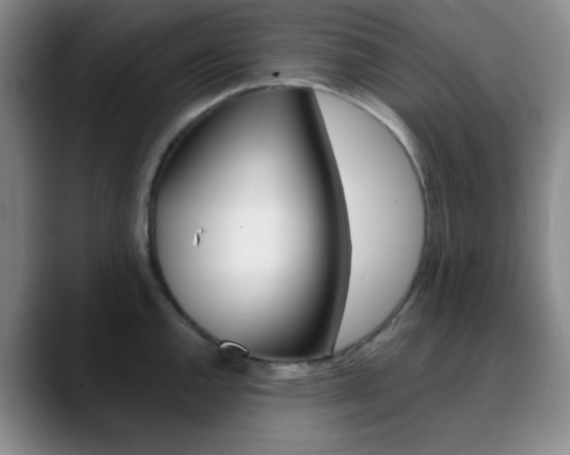 X0000090751144200707201027