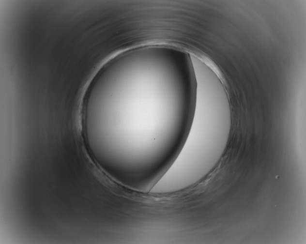 X0000090751148200707201027
