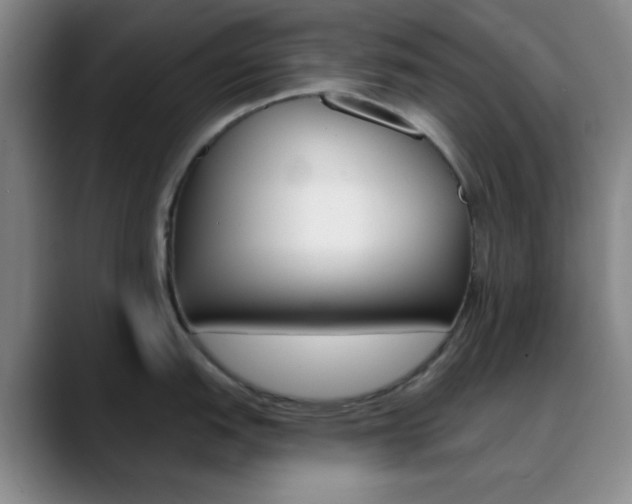 X0000090751151200707201027