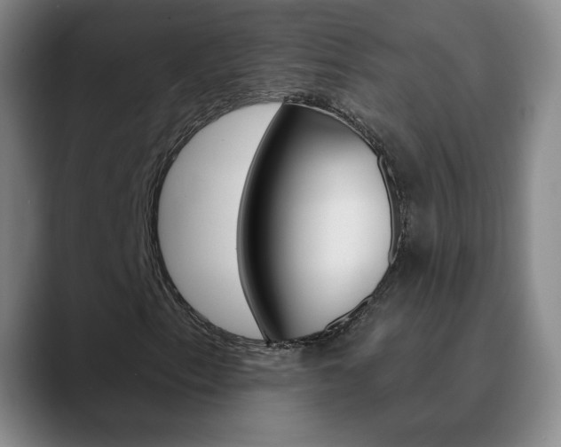 X0000090751153200707201026