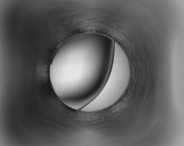 X0000090751156200707201026
