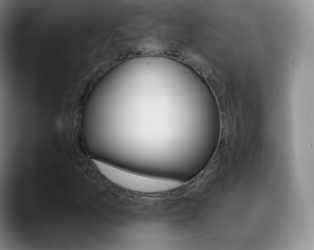 X0000090751157200707201026