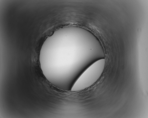 X0000090751158200707201026