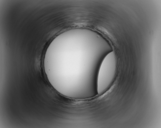 X0000090751162200707201026
