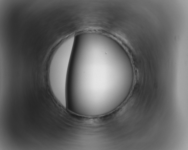 X0000090751165200707201026