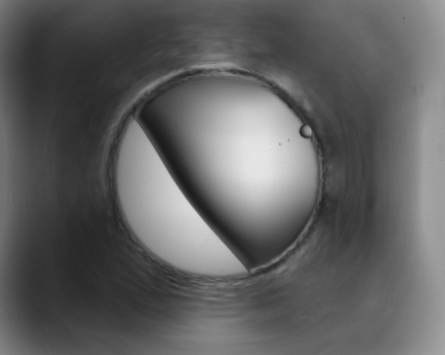 X0000090751167200707201026