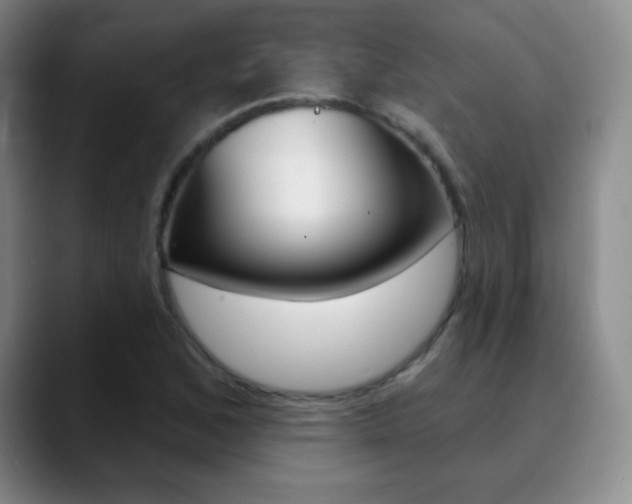 X0000090751168200707201026