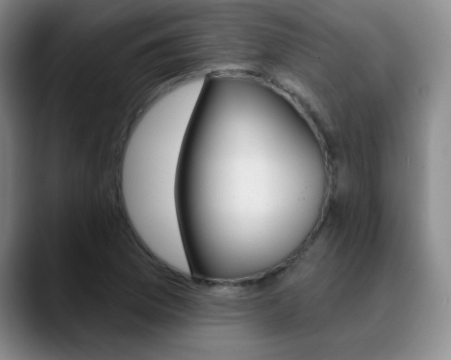 X0000090751169200707201026