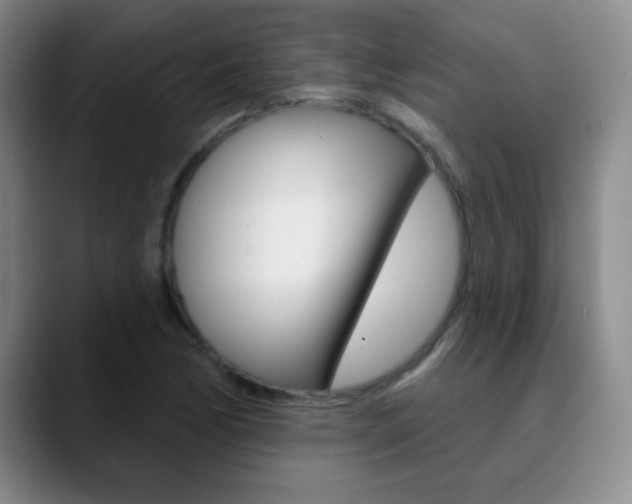 X0000090751170200707201026