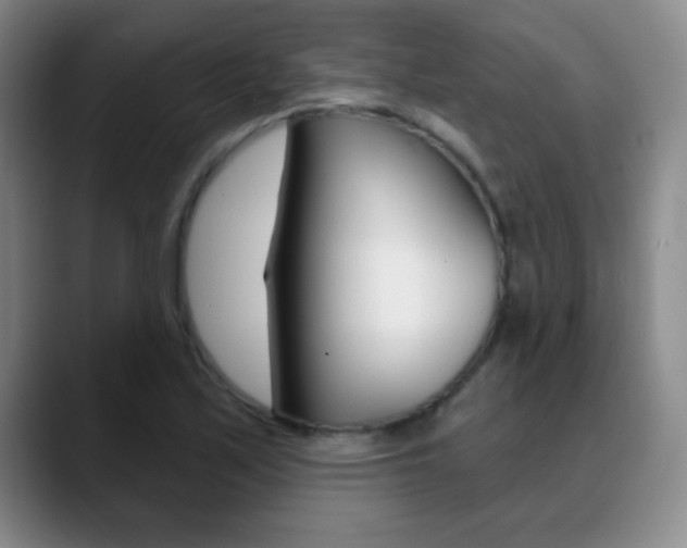 X0000090751171200707201026