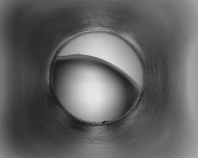 X0000090751173200707201026
