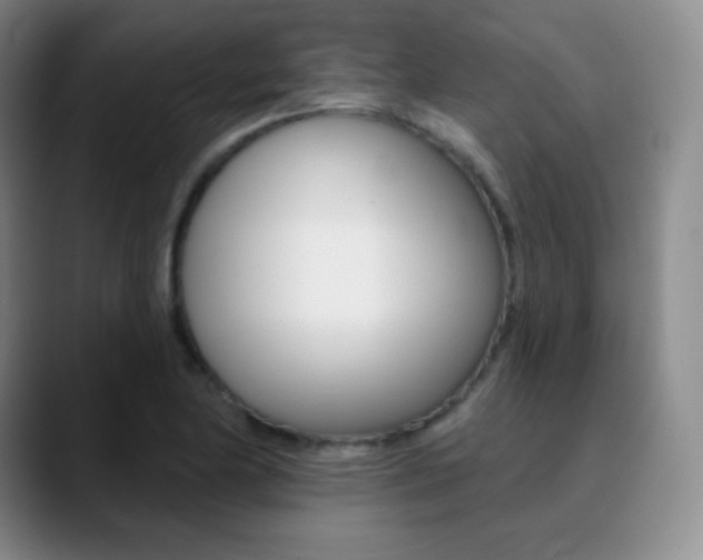 X0000090751174200707201026