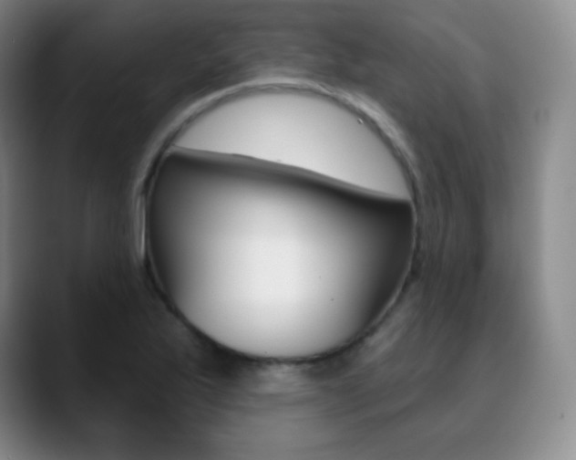 X0000090751175200707201026