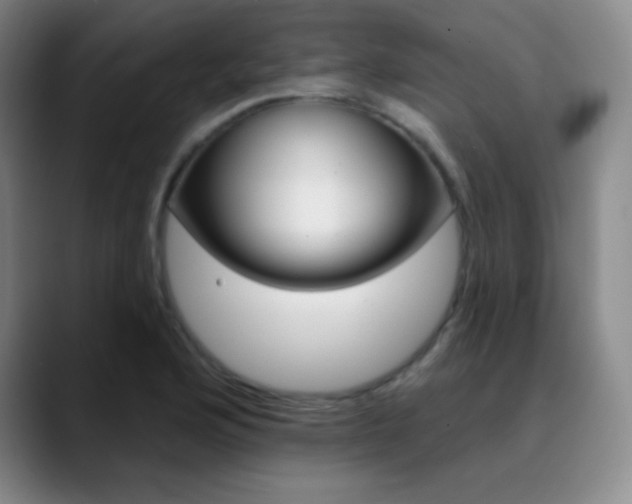 X0000090751176200707201026