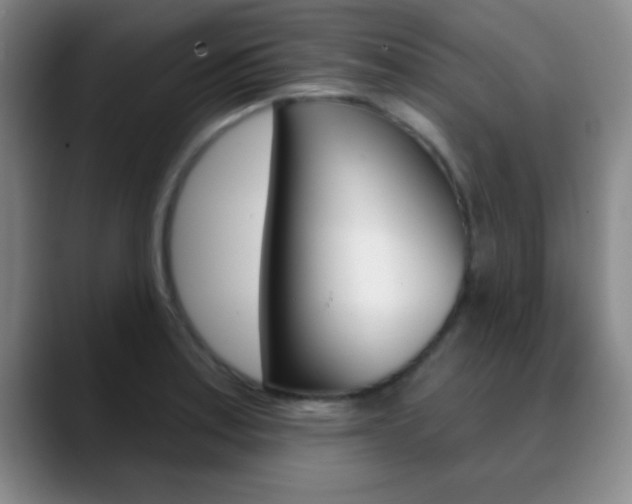 X0000090751179200707201026