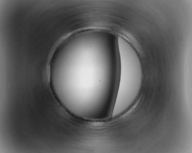 X0000090751180200707201026