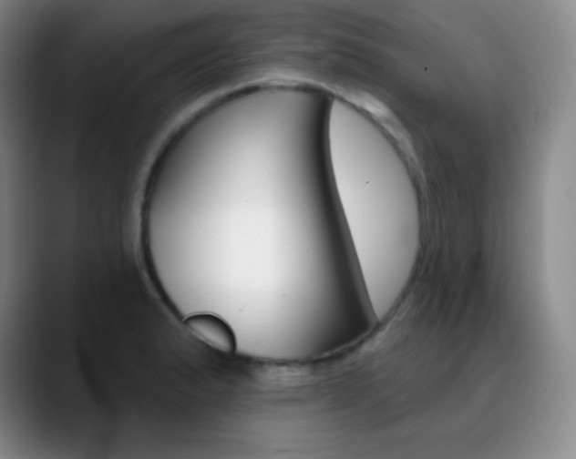 X0000090751183200707201026