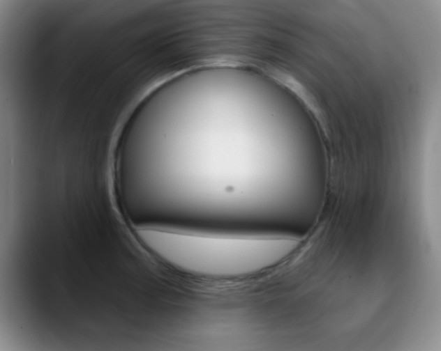 X0000090751187200707201026