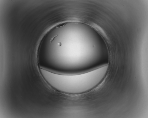 X0000090751192200707201026