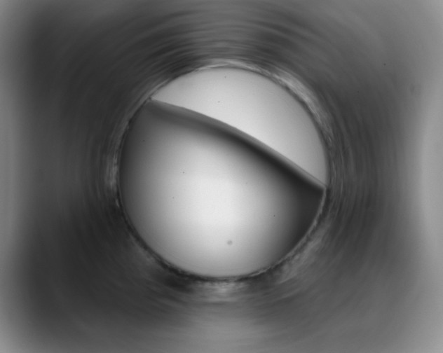 X0000090751193200707201026