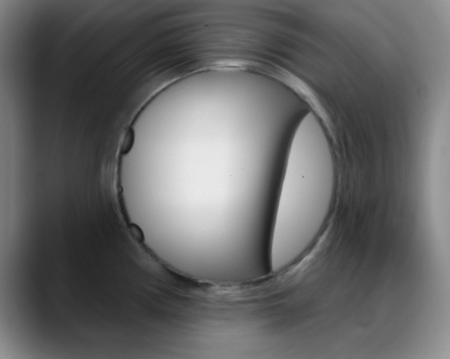X0000090751194200707201026