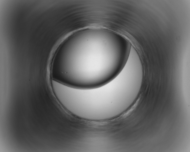 X0000090751196200707201026