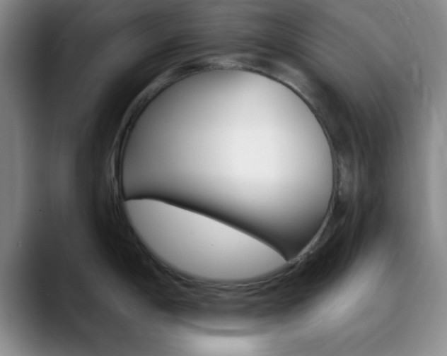 X0000090751198200707201026