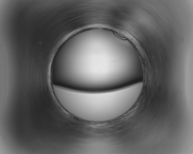 X0000090751199200707201026