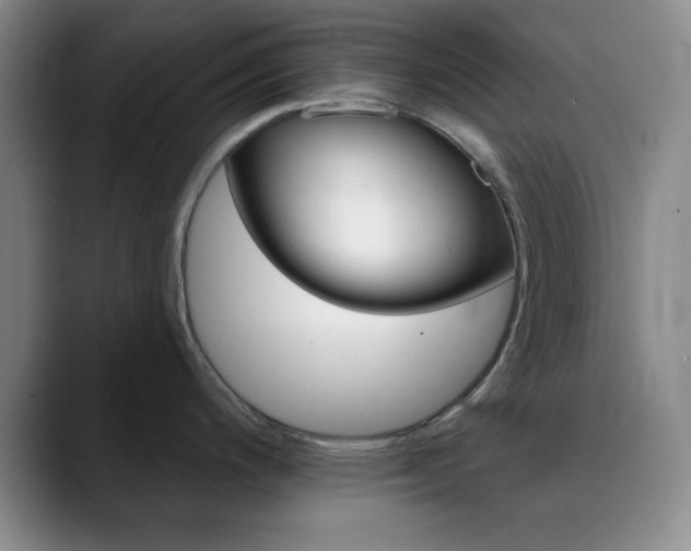 X0000090751200200707201026