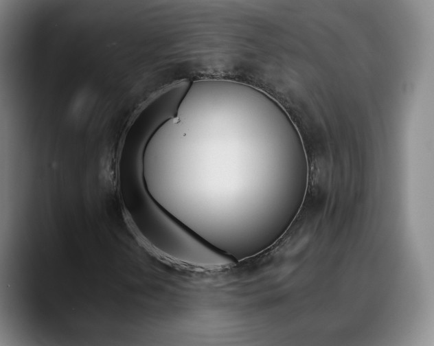 X0000090751202200707201025