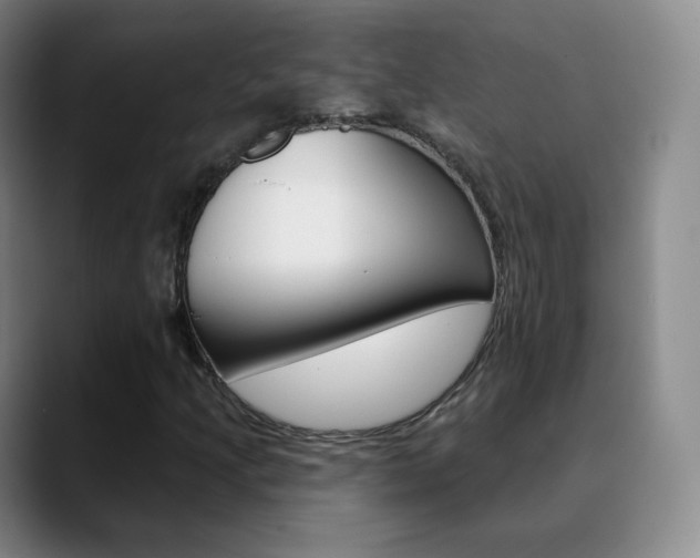 X0000090751205200707201025