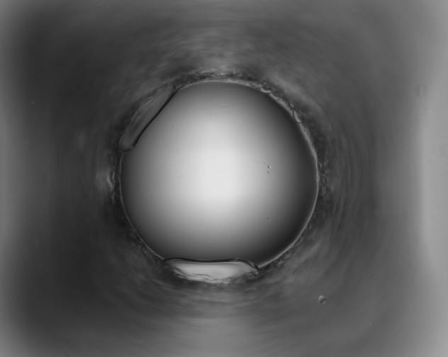 X0000090751206200707201025