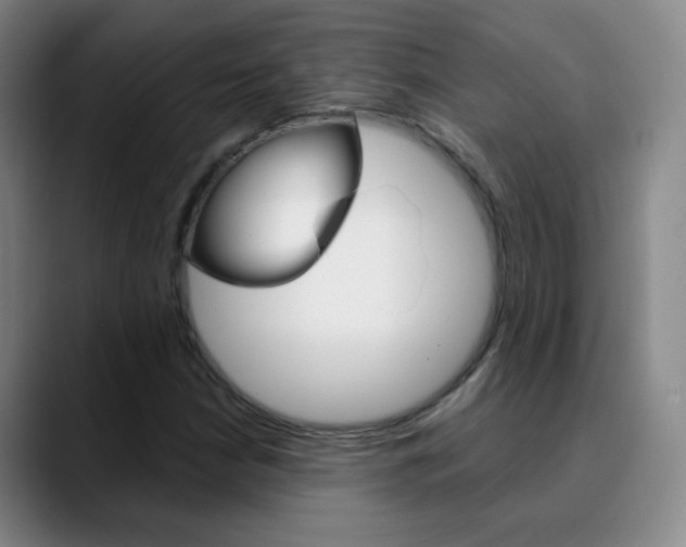 X0000090751210200707201025