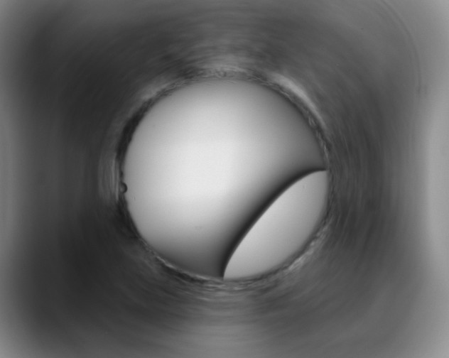 X0000090751219200707201025