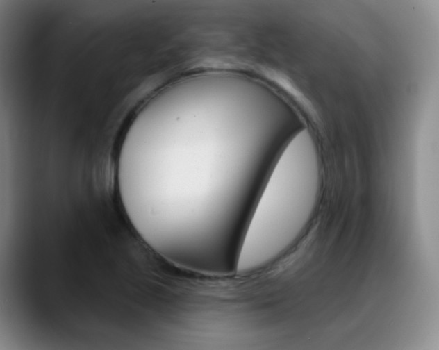 X0000090751221200707201025