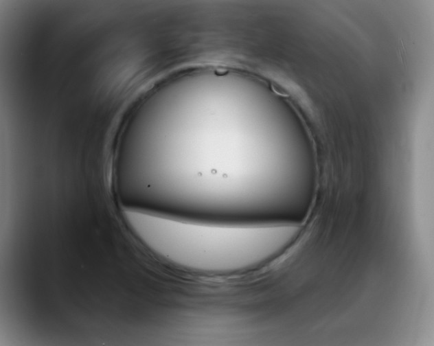 X0000090751224200707201025