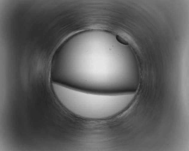 X0000090751228200707201025