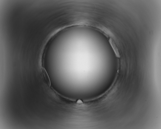 X0000090751230200707201025