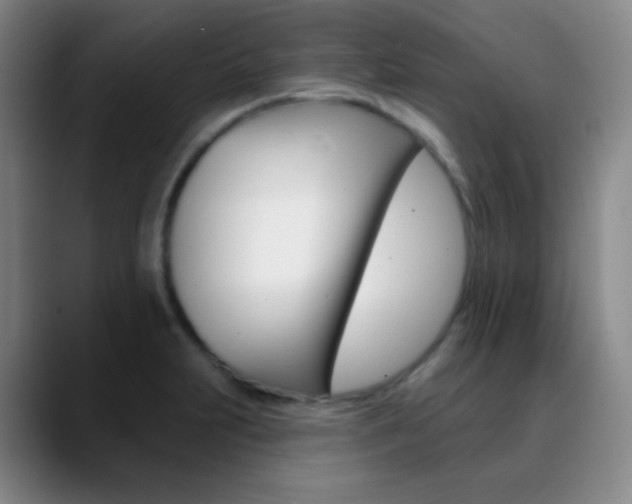 X0000090751231200707201025
