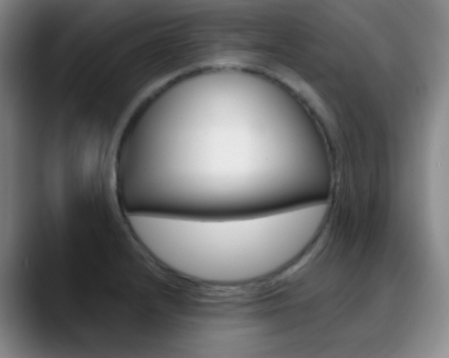 X0000090751232200707201025