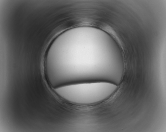 X0000090751235200707201025