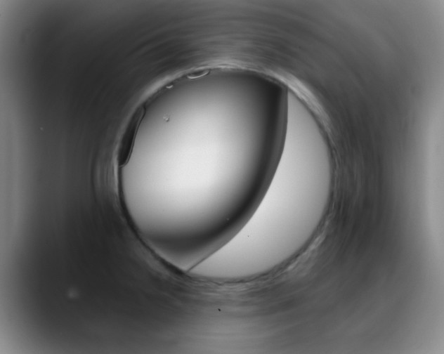 X0000090751238200707201025